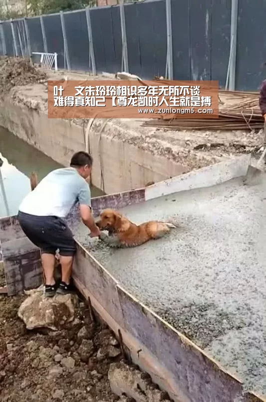 尊龙凯时