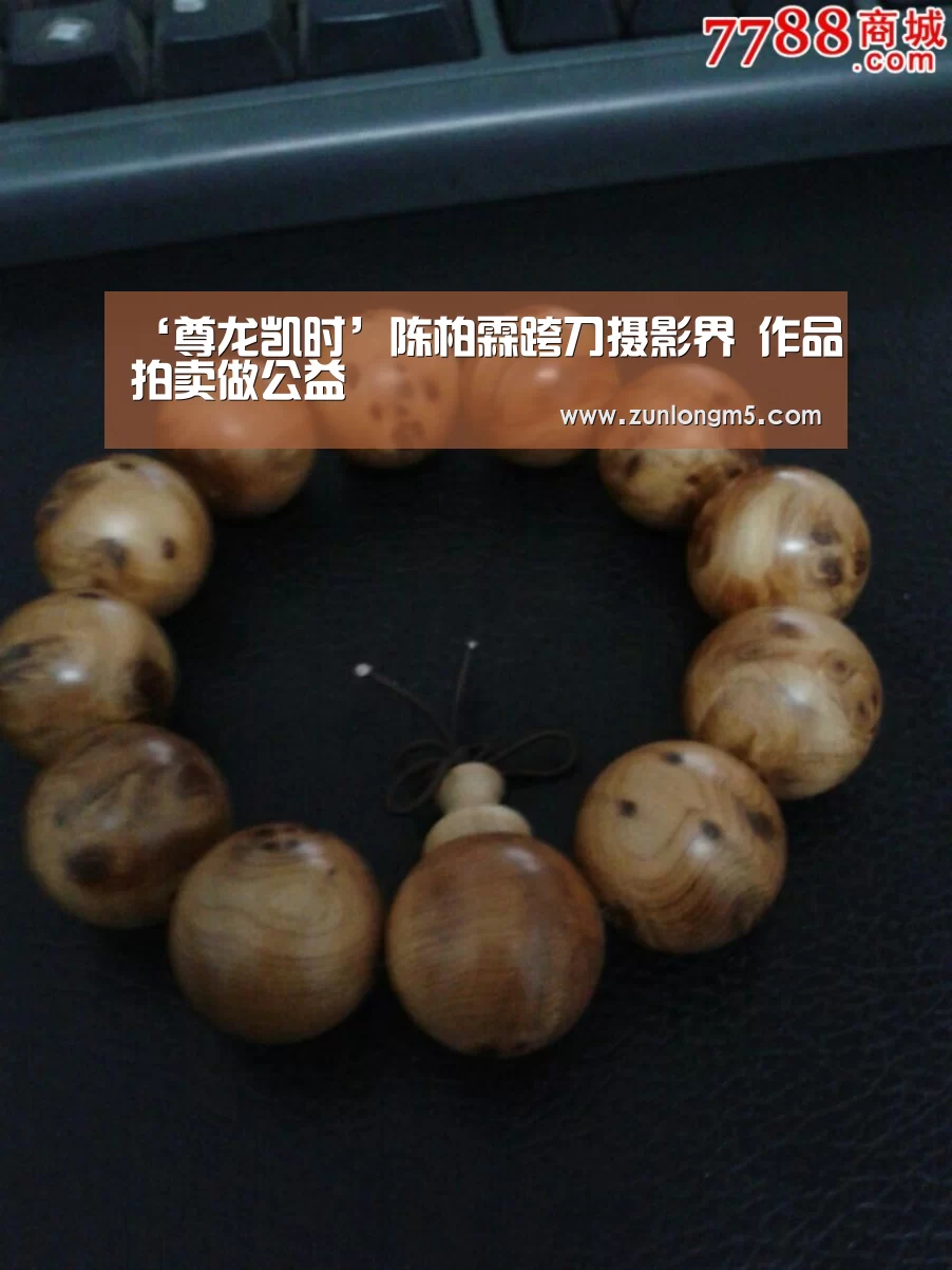 ‘尊龙凯时’陈柏霖跨刀摄影界 作品拍卖做公益(图2) 尊龙凯时